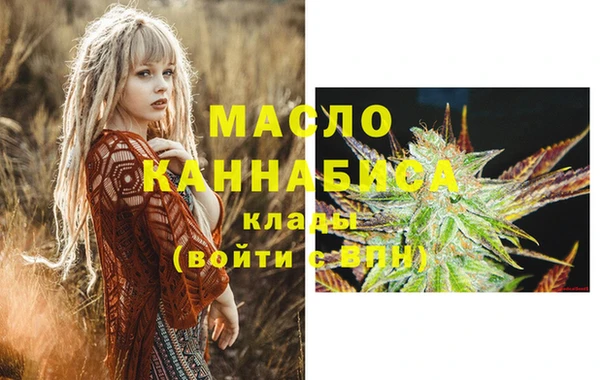 амф Новозыбков