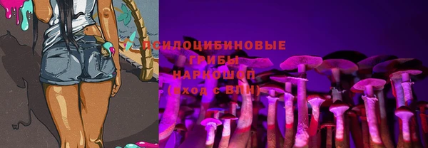 гидра Новодвинск