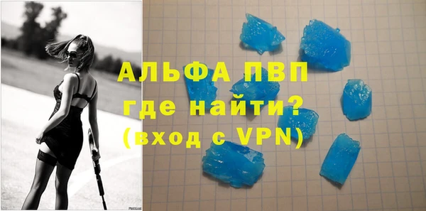 амф Новозыбков