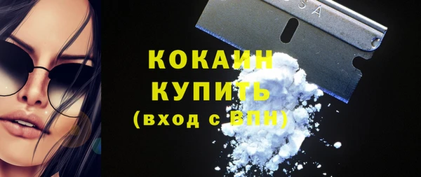 амф Новозыбков