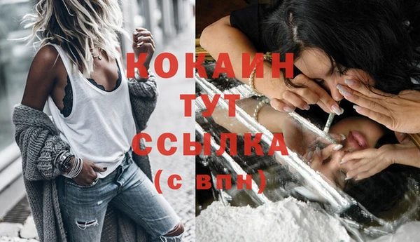 амф Новозыбков