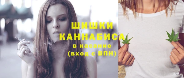 гидра Новодвинск