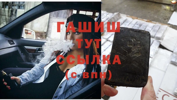 гидра Новодвинск