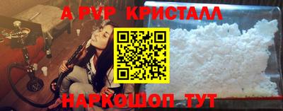 PSILOCYBIN Гатчина
