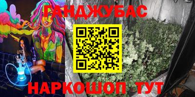 PSILOCYBIN Гатчина