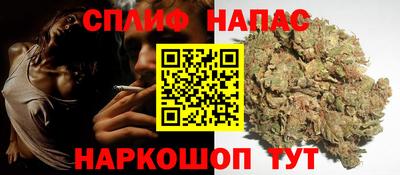 PSILOCYBIN Гатчина