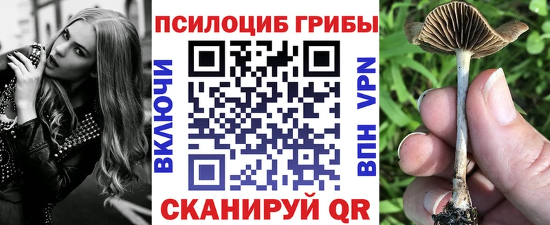 kraken как войти  Ступино  Псилоцибиновые грибы мухоморы  наркота 