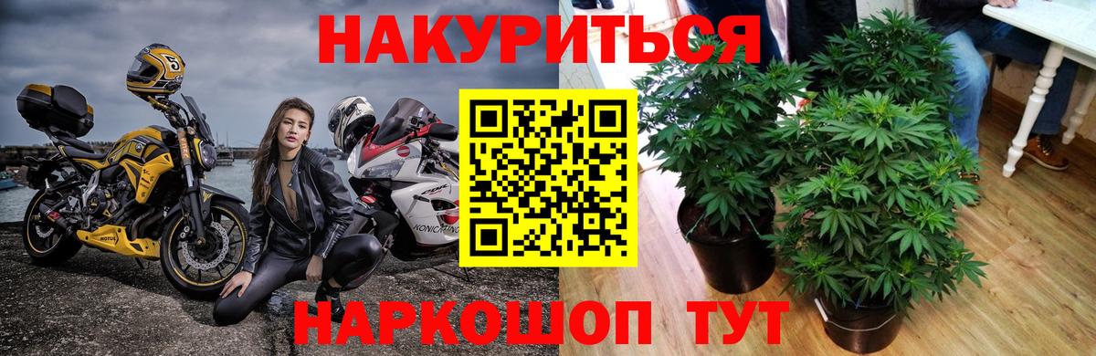 Шишки марихуана SATIVA & INDICA Ступино